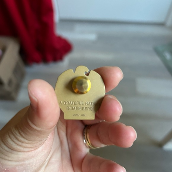 4/$100 Vietnam War 50th Anniversary Pin 📌 - Picture 7 of 9